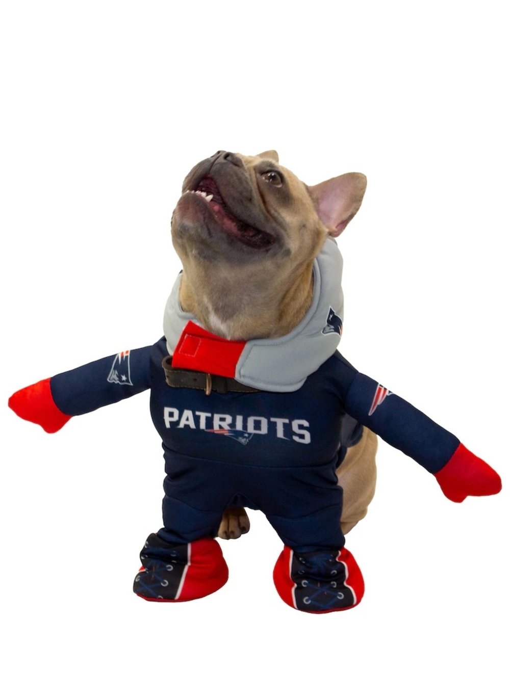 NFL New England Patriots Navy and Red Dog Costume